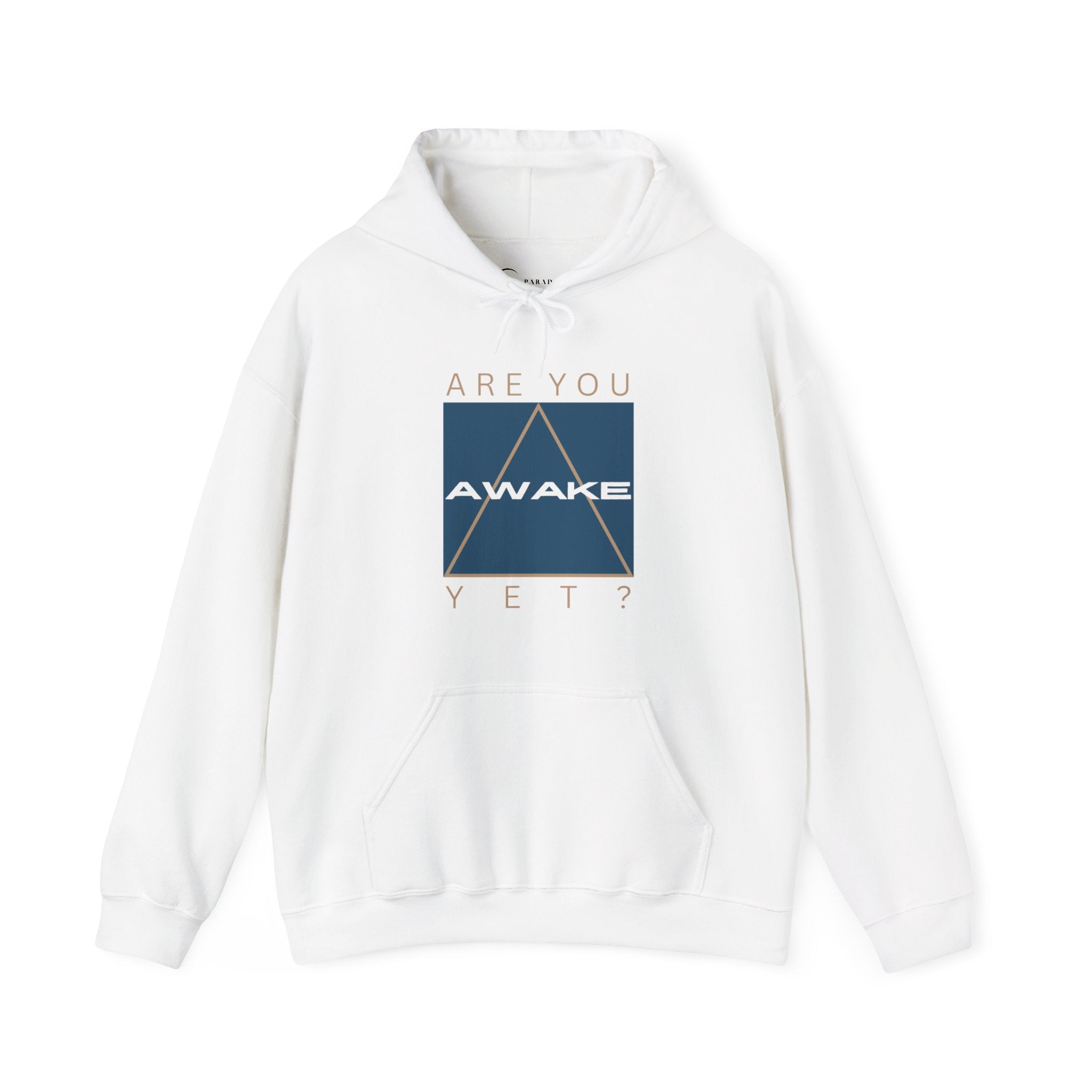 ARE YOU AWAKE YET (ADULT HOODIE SWEATSHIRT)