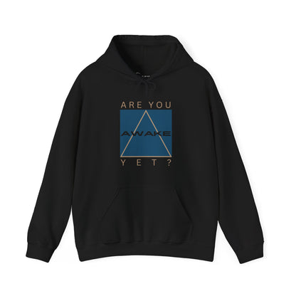 ARE YOU AWAKE YET (ADULT HOODIE SWEATSHIRT)