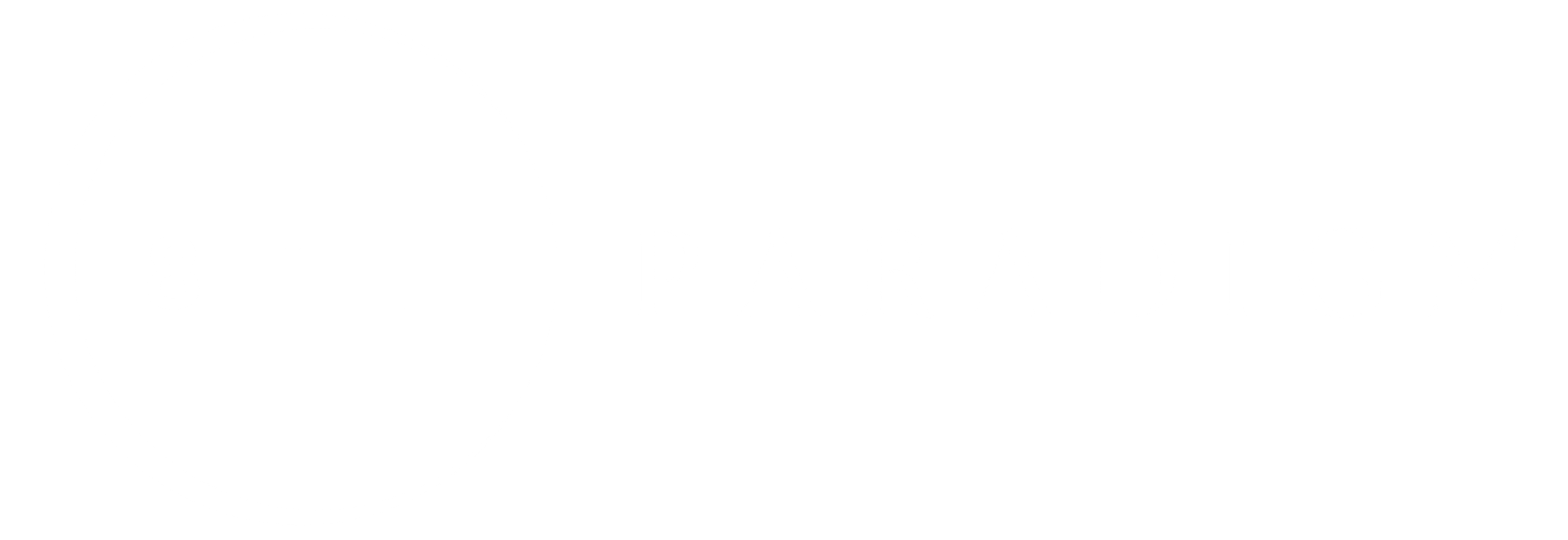 8th Paradigm-Logo